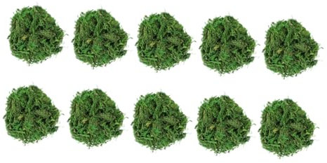 Operitacx 10stücke Getrocknetes Naturmoos Deko Moos Natur Für Blumentopf Zier Material Getrocknetes Moos Dekor Mit Getrockneten Flechten Für Feengartenpflanzen