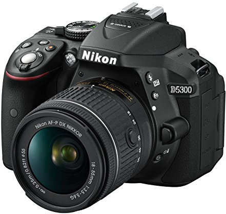 Nikon D5300 Appareil Photo numérique Reflex