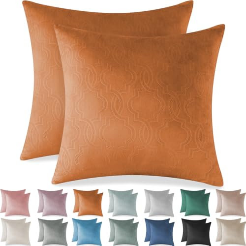 Ystyle Federe Cuscini Divano 50x50 - Copricuscini Divano 2 Pezzi in Velluto con Cerniera Invisibile Morbidi e Lavabili, Copricuscini per Salotto e Camera Soggiorno Letto - Marrone