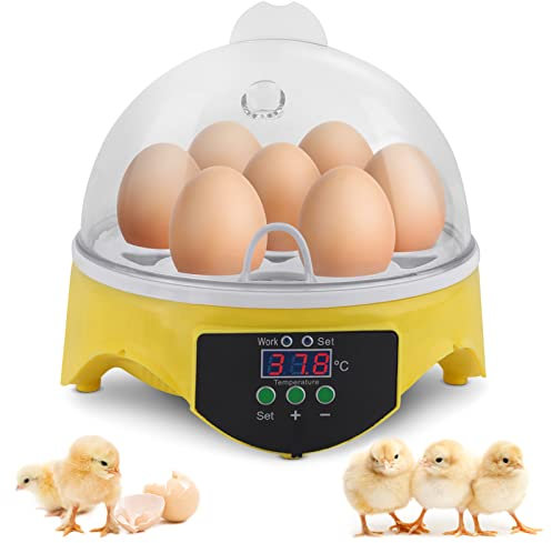 GOTOTOP 12/24 Eier Brutgerät Brutmaschine Flächenbrüter Inkubator Brüter (7 Eier) brutkasten hühner