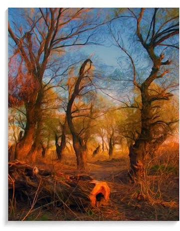 Peinture Par Numero Adulte Paysage Forêt 40X50Cm Kit Peinture Acrylique Et Toile Par Numero,Peinture À L Huile Par Numéros Pour Enfants,A107