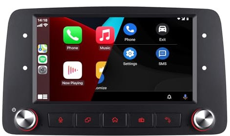 Autoradio per Fiat Panda 2003-2012 Radio con Wireless Carplay/Android Stereo IPS Touch Screen/Bluetooth/Mirror Link/FM/AM/USB