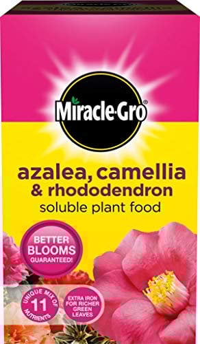 Miracle Gro Azalea, Camellia & Rhododendron Soluble Plant Food 500g Carton (551563)