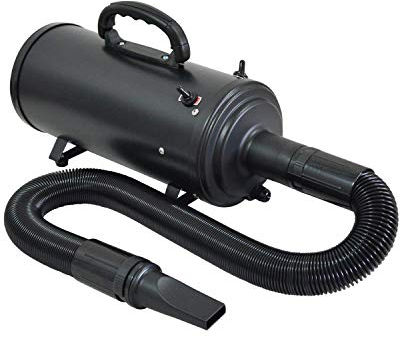 Gravitis Asciugacapelli a velocità continua 4,2 HP per cani e gatti, colore nero