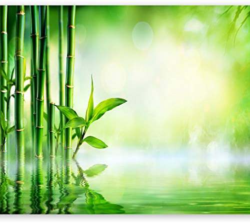 murando Fototapete selbstklebend Spa 343x256cm Foto Tapete Tapetenfolie Möbelfolie Wandverkleidung Wandtapete Motivtapeten Bildtapete Wohnzimmer 3d Effekt Modern Bambus Natur grün b-B-0164-a-a