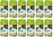 Fresh & More Lufterfrischer Nachfüller 12x250ml, Apfel & Wasserlilie