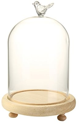 Glass Cloche Bell Jar Display Dome with Wood Base,URMAGIC Clear Glass Dome Cloche with Bird Handle and Wooden Base, 14 x 19cm Decorative Centerpiece Dome,Tabletop Display Case
