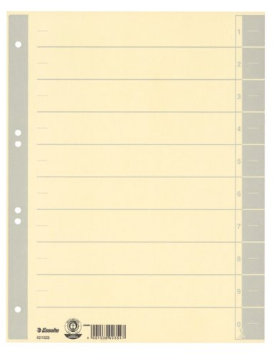 Leitz Trennblatt, A4, Karton, farbig bedruckt, grau