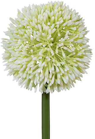 Gasper künstliche Allium Kugelblüte weiß H. 64cm Blüte D. 11cm Kunstblume