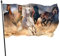Fahnen, Lustiges Pferd Flaggen 5 ft x 3 ft mit Ösen, Polyester-Flaggen Lichtbeständige Gartenflagge für Terrasse Garten Hof im Freien