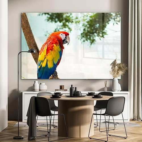 MuchoWow Glasbild Glasfoto Wandbild Bilder Deko 150x100 cm Papagei - Vogel - Regenbogen - Tropisch