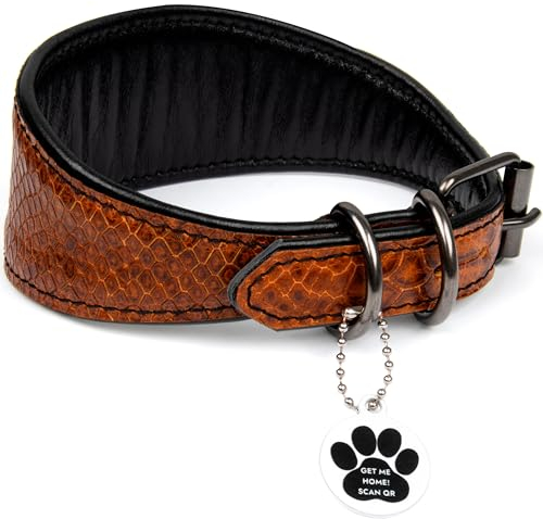 FAVPET Luxus Echtleder Windhund Halsband Breit mit QR Code Anhänger, Weiches Lederhalsband Hund Breit Whippet Italienisches Windspiel Saluki Lurcher Spanischer Galgo Greyhound Podenco (Braun, L)