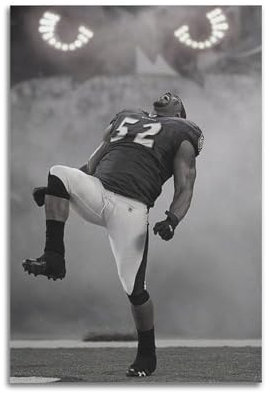 Ray Lewis Dekoratives Gemälde, Schauspieler, Stern, Sportler, dekoratives Poster, Leinwand-Dekoration, Druck, Ölgemälde, Rap-Stern, Wohnzimmer, Heimdekoration, 30 x 45 cm, ungerahmt, 14