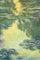 1art1 Claude Monet XXL Poster Seerosen, 1907 (Grün-Gelb) Plakat | Bild 120x80 cm