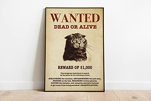 New Cat Wanted Scottish Fold Cat Digital Wanted Western Poster Cowboy Cat Gifts for Her Metal Tin Sign Rustic Suitable for Home and Kitchen Bar Man Cave Cafe Garage Wall Decor 30,5 x 20,3 cm