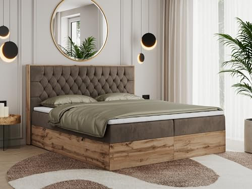 MKS MEBLE Boxspringbett 180x200 mit Bettkasten Eiche, Polsterbett 180x200 mit Matratze H3, Bett 180x200 mit Kopfteil, Bett mit Holzrahmen in Wotan Eiche - Braun Velvet - Amore