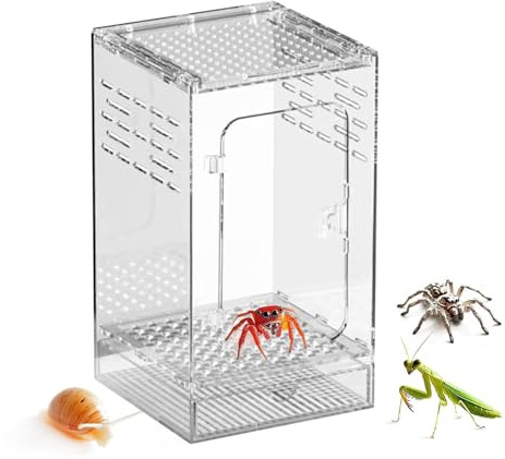 Terrarium für Spinne, Sauteuse aus Acryl, 25 x 15 x 15 cm, Terrarium, Insekten, Habitat, transparent, belüftet, Futterbox für Spinnen, Sauteuse, Eidechsen, Schnecken, Käfer
