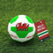 Strength and Honour | Wales Welsh Mini Soft PU Leather Kids 4inches Football | Textured Soccer Compact Ball | World Cup Supporter Gift | Indoor Outdoor Practice