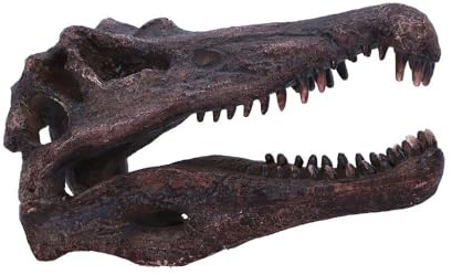 Nemesis Now Spinosaurus-Schädel, 16 cm | Original Nemesis Now Design, handbemalte Gothic-Fantasie-Figur, Sammlerstück, Kunstharz