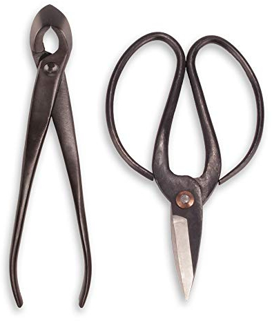ThinkBamboo Bonsai Basics Set – 20,3 cm konkav Cutter, 17,8 cm Heavy Duty Scheren, und Bambus Bürste