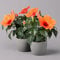 Hibiskus, orange, Topf-Ø 13 cm, Höhe ca. 35 cm, 2 Pflanzen