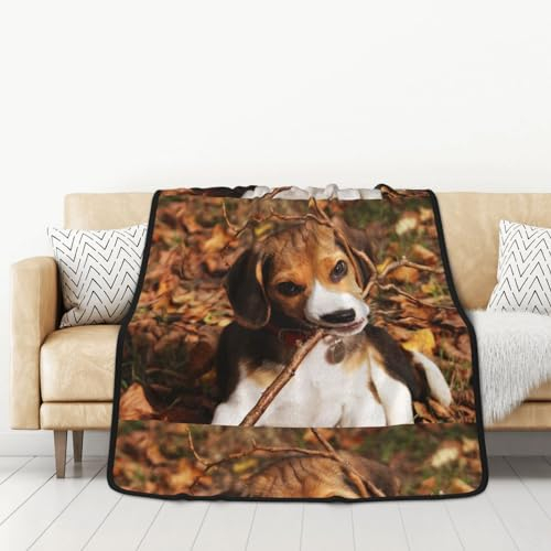 GRatka Decke, 127 x 152 cm, doppelseitige Decke, Reisedecke, weiche Decke für Schlafsofa,Süßer Beagle