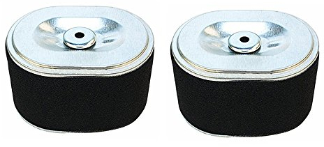 OxoxO Paquete de 2 filtros de aire compatibles con 17210-ZE1-517 17210-ZE1-822 17210-ZE1-507 17210-ZE1-505 compatible con motores de 5.5HP 6HP