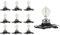 CARALL 10 Stück Halogenlampen 12 V für Auto (PH16W 12V 16W)