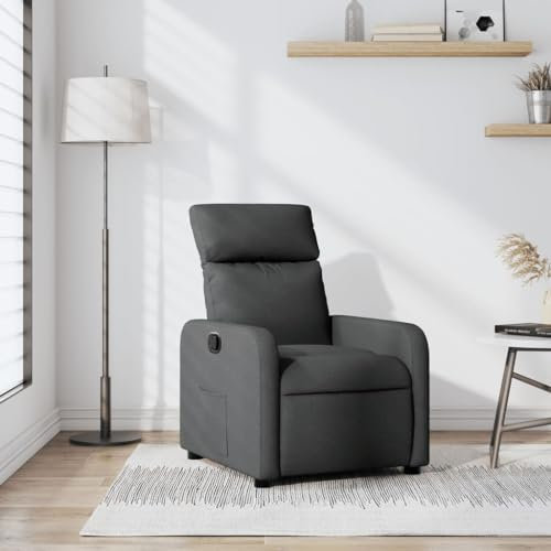 THOYTOUI Relaxsessel, Cocktailsessel TV Sessel Kinosessel Ohrensessel Geeignet für Wohnzimmer Schlafzimmer Speisesaal Büro Dunkelgrau Stoff