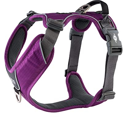 DOG Copenhagen Comfort Walk Pro Geschirr, Purple Passion, Größe XS