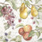 IHR Ideal Home Range - Servietten Herbstmotiv COUNTRY FRUITS Äpfel Weintrauben Birnen Herbstlaub cream 20 St. Lunchservietten 33 cm x 33 cm