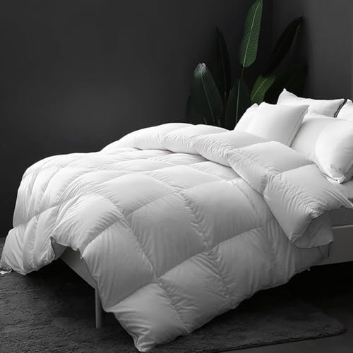 DWR Winter Daunendecke 220x240cm Bettdecke aus Gänsedaunen und Federn,Extraweiche Bio-Baumwolle gestepp,Winter warm und dick Hoch Füllkraft,Daunen Bettdecke,Weiß