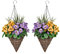 2 x Cone Shaped Hanging Baskets with Purple & Yellow Flowers and Decorative Grasses (Set of 2)
