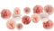NICROLANDEE Décorations de mariage – Lot de 12 pompons en papier de soie couleur or rose brûlé pour mariage, enterrement de vie de jeune fille, fête prénatale, plafond et décoration de fête