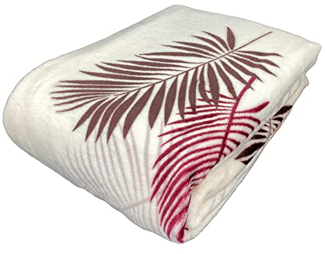 heimtexland ® Kuscheldecke Tropical Super Soft Flanell Wohndecke 150x200 Palmblätter Typ853 Braun