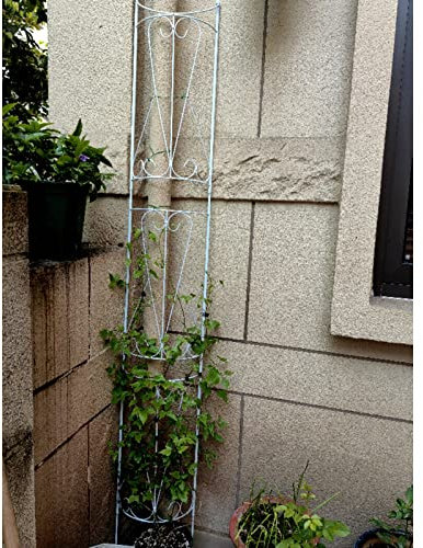 Grands treillis de jardin en fer forgé pour plantes grimpantes, bec de descente semi-circulaire occlu, pergola d'escalade, style rétro, treillis en métal, support pour plantes, 185 x 27,8 cm (couleur