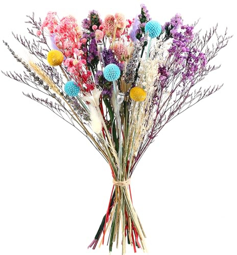 Songjum Natürliche Farben Trockenblumen Dekoration DIY Trockenblumen Set für Herbst Hochzeitsdeko Boho-Blumen Tischdekoration Hause Rustikale Bauernhausparty