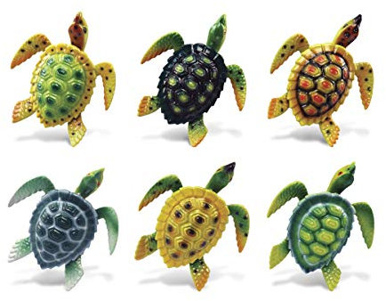 Verwirrt, Reef Meer Schildkröte Kühlschrank Bobble Magnet (Set von 6)