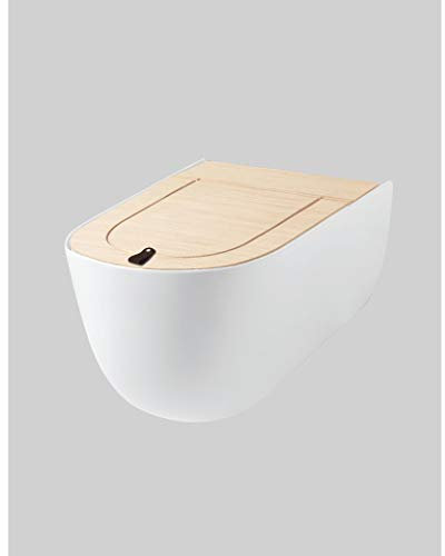 Wall mounted sanitary ware wc and bidet The One (wall-hung rimless wc)