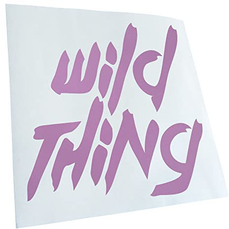 Kiwistar - Autoaufkleber - Flieder - 10x10cm Wild Thing - Girl - Tussi - Heckscheibe Auto Aufkleber wetterfest für Kfz LKW Mofa Truck - Sticker außen selbstklebend Tuning Zubehör für Fenster Fahrzeug