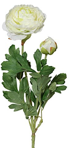 CREATIV green künstliche Creme-farbene Ranunkel 6er Set I Kunstblumen für Vase 40cm I künstliche Ranunkel in Creme mit Blüten & Knospen I Tischdeko Frühling I Frühlings-Deko I hochwertige Kunstblumen