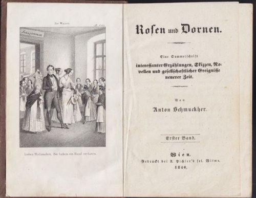 Rosen und Dornen. Eine Sammelschrift interessanter Erzählungen, Skizzen, Novellen und gesellschaftlicher Ereignisse neuerer Zeit.