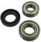 Paxanpax Kit cuscinetto tamburo e paraolio non originale 1° tipo per AEG/Electrolux/Tricity Bendix/Zanussi S/FL800 Series