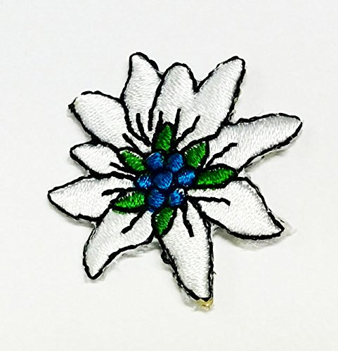 Aufnäher Bügelbild Aufbügler Iron on Patches Applikation Edelweiss Durchmesser 3,5cm Farbe: Weiss vor55-9