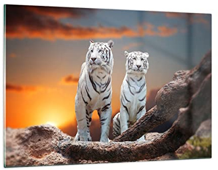 ARTTOR Bilder auf Glas 120x80cm Wandbild Glasdruck Natur Tiere - 2901 | Tiger Weiß Skala Groß XXL Modern Dekoration Wohnzimmer Schlafzimmer Küche Wanddeko Kunstdruck Art Wall Decor ARTTOR