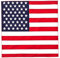 Unbekannt Bandana Kopftuch Halstuch Nickituch Biker Tuch Motorad Tuch verschied. Farben Paisley Muster, Usa, ...