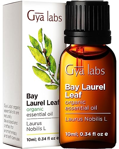 Gya Labs Ätherisches Bio Lorbeer Öl für Diffusor - 100% Reines Natürliches Lorbeeröl für Haare - ist würzig, krautigen Duft (10 ml)