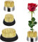 LUTER 3 Stk Blumenarrangement Nadel Blumenfrosch Rund Halterung für Blumenarrangements, Garten-, Hotel- und Heimdekoration