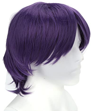 Lila Cosplay-Perücke für Männer, Kurz, Anime, Männlich, Jeden Tag, Täglich, Cosplay-Party, Perückenkappe für Cosplay-Kostüm, Party, Halloween, Synthetische, Hitzebeständige, Natürliche, Flauschige Per