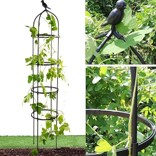 175CM Obelisks Trellis For Climbing Plants 6FT Clematis Support Rose Trellis,Cucumber Trellis,Plant Climbing Frame Garden Trellis Indoor Outdoor Yard,Vegetable,Fruit,Flowers Metal Round (Black)